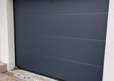 Porte de garage sectionnelle (RE 100 ACCESS)